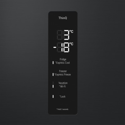 Холодильник LG GC-B509FTZW