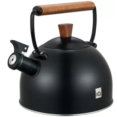 Чайник IQ Вe Natural 2.5 л (IQ-1003)