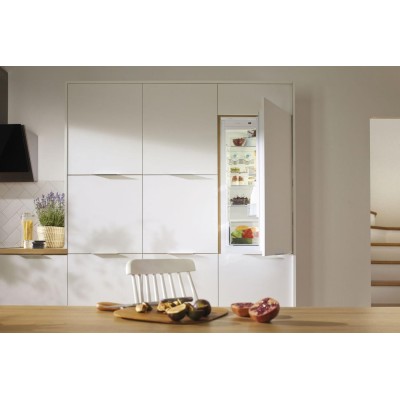 Вбуд. холодильник з мороз. камерою Gorenje, 177х55х54см, 2 двері, 180(68)л, А+, NF+, Зона св-ті, Внутр. Диспл, Білий (NRKI418EE1