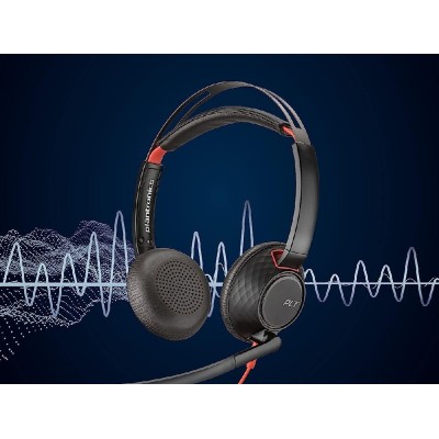 Гарнітура комп'ютерна стерео On-ear Poly Blackwire 5220, USB-A, USB-C, 3.5 мм, всеспрямований, noise canceling, чорний (8X231AA)