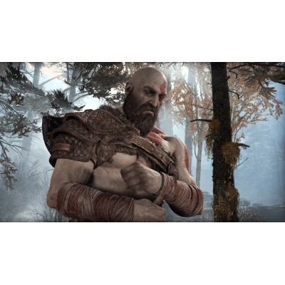 Гра консольна PS4 God of War (PlayStation Hits), BD диск (9808824)