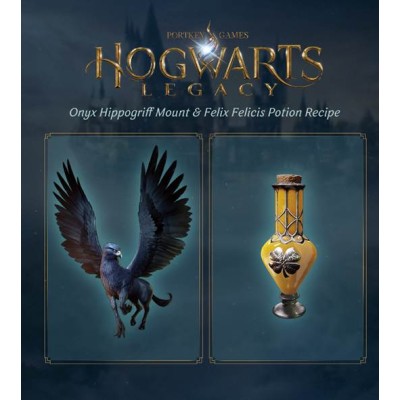 Гра консольна PS4 Hogwarts Legacy, BD диск (5051895413418)