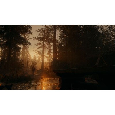 Гра консольна PS5 Alan Wake 2 Deluxe Edition, BD диск (5056635609427)