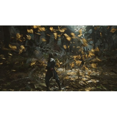 Гра консольна PS5 Black Myth: Wukong, BD диск (5056635611864)