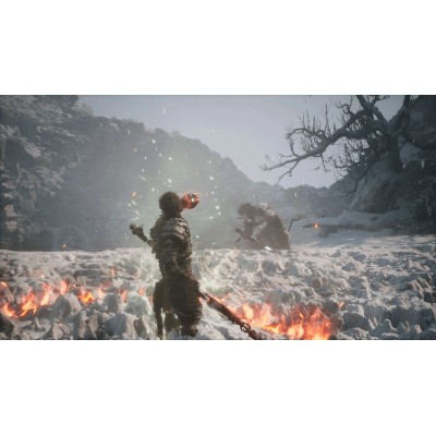 Гра консольна PS5 Black Myth: Wukong, BD диск (5056635611864)
