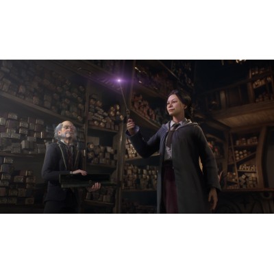 Гра консольна PS5 Hogwarts Legacy, BD диск (5051895413425)