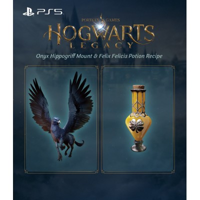 Гра консольна PS5 Hogwarts Legacy, BD диск (5051895413425)