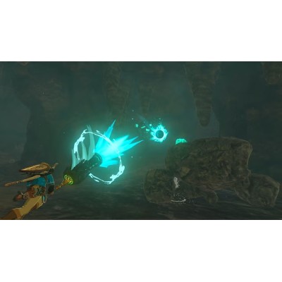 Гра консольна Switch The Legend of Zelda Tears of the Kingdom, картридж (045496478728)