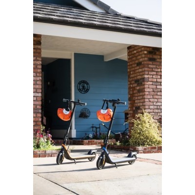 Електросамокат Segway-Ninebot дитячий C2 PRO E, синій