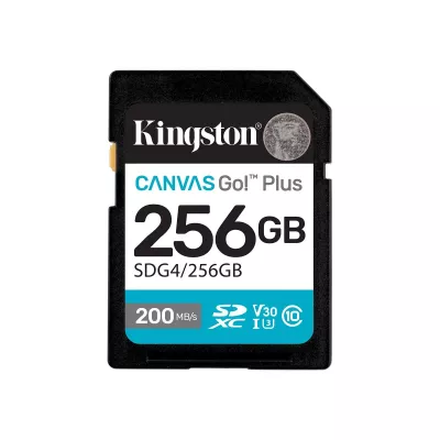 Карта пам'яті Kingston SD 256GB C10 UHS-I U3 V30 R200/W160MB/s (SDG4/256GB)