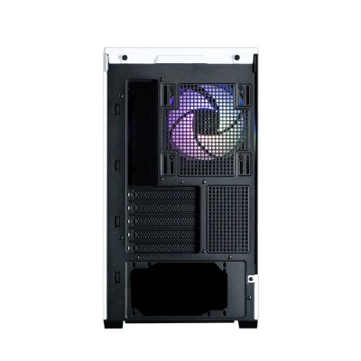 Корпус Zalman P30 без БЖ, 1xUSB3.0, 1xUSBType-C, 3x120мм ARGB, VGA 420мм, LCS ready, TG Side Panel, mATX, чорний/білий (P30BW)