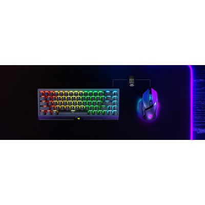 Миша Razer Basilisk V3 Pro, RGB, USB-A/WL/BT, чорний (RZ01-04620100-R3G1)