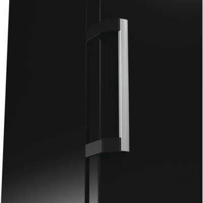 Морозильна камера Gorenje, 185.5x59.5х66.3, 280л, 1дв., A++, NF, диспл зовн., інвертор, чорний (FN619EABK6)