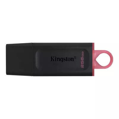Накопичувач Kingston 256GB USB 3.2 Type-A Gen1 DT Exodia (DTX/256GB)