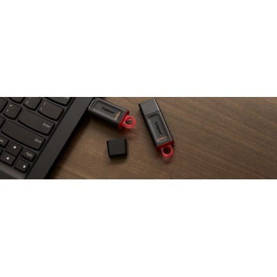 Накопичувач Kingston 256GB USB 3.2 Type-A Gen1 DT Exodia (DTX/256GB)