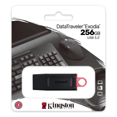 Накопичувач Kingston 256GB USB 3.2 Type-A Gen1 DT Exodia (DTX/256GB)