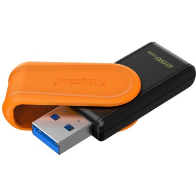 Накопичувач Kingston 256GB USB 3.2 Type-A Gen1 DT Exodia S (DTXS/256GB)