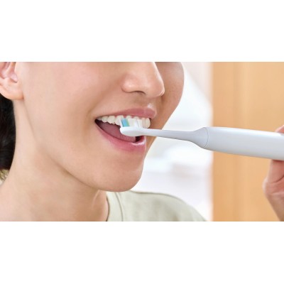 Насадки для звукової зубної щітки Philips Sonicare HHX6068/87 Premium Plaque Defence