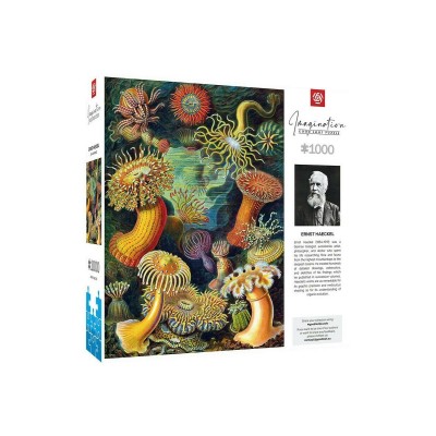 Пазл GoodLoot Imagination: Ernst Haeckel: Sea Anemones 1000 ел.