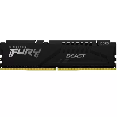 Пам'ять ПК Kingston DDR5 32GB 5600 FURY Beast EXPO (KF556C36BBE-32)