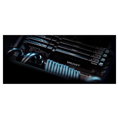 Пам'ять ПК Kingston DDR5 64GB KIT (32GBx2) 6000 FURY Beast EXPO (KF560C30BBEK2-64)
