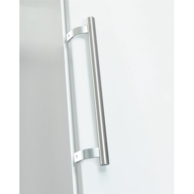 Холодильна камера Snaige, 163x60х65, 310л, 1дв., D, ST, білий (CC48DM-P600FD)