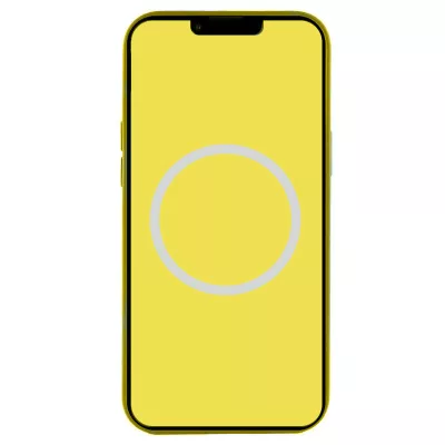 Чохол Silicone case (AAA) with Magsafe and Animation (button) для Apple iPhone 16 Pro Max (6.9") Star Fruit