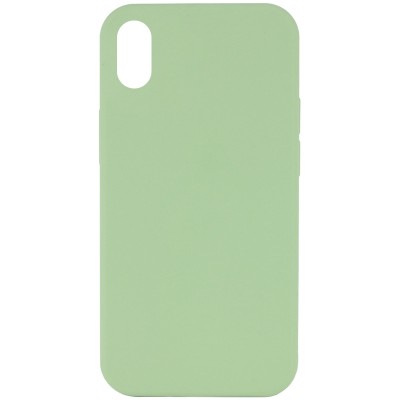 Чохол Silicone Case Full Protective (AA) NO LOGO для Apple iPhone XR (6.1") М'ятний / Mint