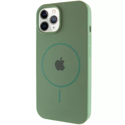 Чохол Silicone Case Full Protective (AA) with MagSafe для Apple iPhone 12 Pro / 12 (6.1") Зелений / Pine green