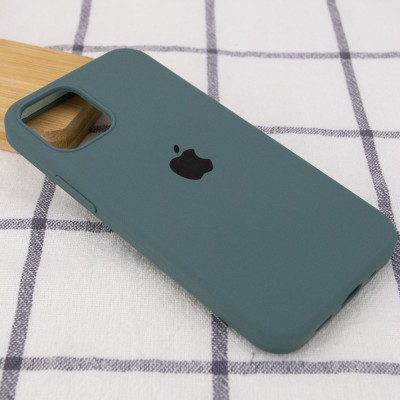 Чохол Silicone Case Full Protective (AA) для Apple iPhone 12 Pro Max (6.7") Зелений / Cactus