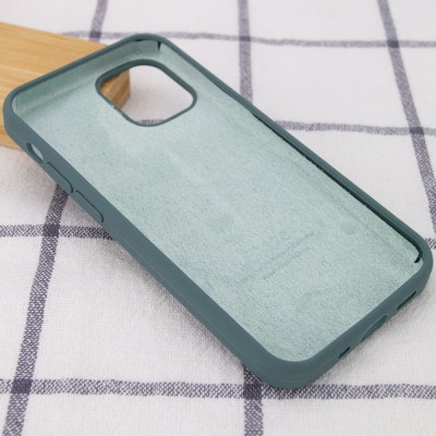 Чохол Silicone Case Full Protective (AA) для Apple iPhone 12 Pro Max (6.7") Зелений / Cactus