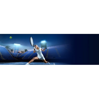 Карта пам'яті Transcend SD 64GB C10 UHS-I U3 R160/W50MB/s 4K (TS64GSDC340S)