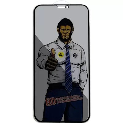 Захисне скло IPhone XS Max/11 Pro Max/11 Pro Max Privacy 5D Anti-Static (тех.пак) Чорний
