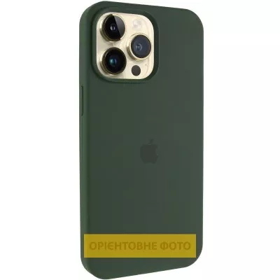 Чохол Silicone Case (AA) Logo with MagSafe для Apple iPhone 17 Pro (6.3") Зелений / Cyprus Green