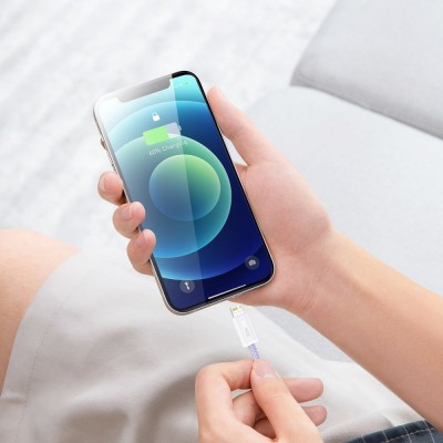 Кабель Baseus Dynamic Series Fast Charging Lightning 2.4A (2m) (CALD000516) slate gray