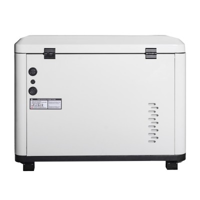 Генератор газовий EnerSol ENNG-8500SATS, 230В, 8.0-8.5кВт, електростартер, 160.0кг