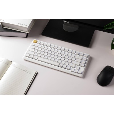 Клавіатура механічна Keychron J1 82Key, K pro Banana, WL/BT/USB-A, QMK, Hot-swap, EN/UKR, RGB, білий (J1-Q4-UA)