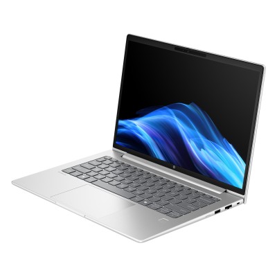 Ноутбук HP Probook 4-G1a 14" WUXGA IPS, AMD R5-230, 16GB, F1024GB, UMA, DOS, сріблястий (B9ZG5ET)
