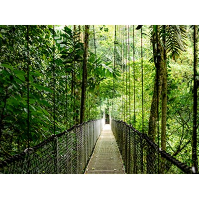 Ноутбук HP Probook 4-G1a 14" WUXGA IPS, AMD R5-230, 24GB, F1024GB, UMA, Win11P, сріблястий (B9ZH0ET)