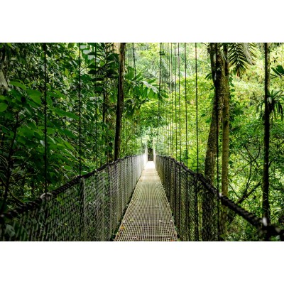 Ноутбук HP Probook 4-G1a 14" WUXGA IPS, AMD R7-250, 24GB, F1024GB, UMA, Win11P, сріблястий (B9ZH5ET)