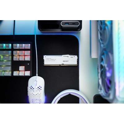 Пам'ять ПК Kingston DDR5 16GB 6000 FURY Beast EXPO Білий (KF560C30BWEA-16)