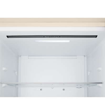 Холодильник LG з нижн. мороз., 186x60х68, холод.відд.-220л, мороз.відд.-113л, 2дв., E, NF, інв., диспл внутр., зона св-ті, бежев