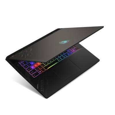 Ноутбук MSI Crosshair A17 HX D8WFKG-023XUA 17" QHD+, AMD R9 8940HX, 32GB, F1TB, NVD5060-8, DOS, чорний (9S7-17TL23-023)