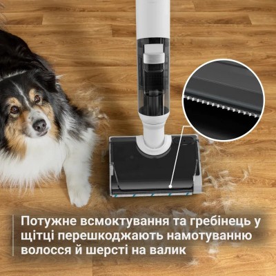 Пилосос акумуляторний Wet&dry ROWENTA GZ5435E0