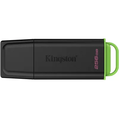 Флеш-пам'ять USB Kingston DataTraveler® Exodia™ 256GB Black-Green (DTXG2/256GB) USB 3.2 Gen 1