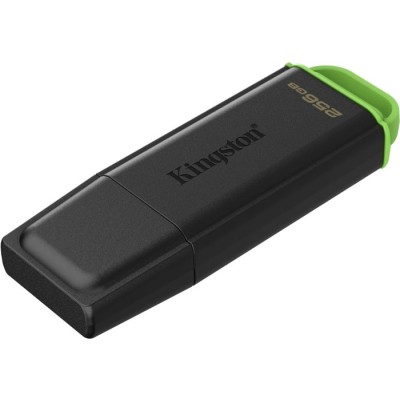 Флеш-пам'ять USB Kingston DataTraveler® Exodia™ 256GB Black-Green (DTXG2/256GB) USB 3.2 Gen 1