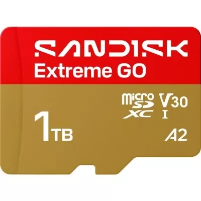 Карта пам'яті SANDISK Extreme GO SDXC 1TB UHS-I V30 A2