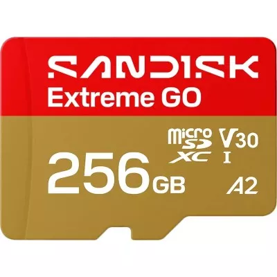 Карта пам'яті SANDISK Extreme GO SDXC 256GB UHS-I V30 A2