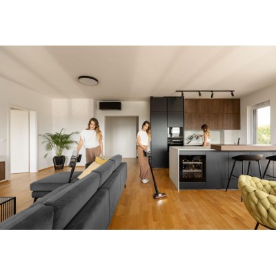Пилосос акумуляторний GORENJE SVC259400NES (V24P01FP2520EU)