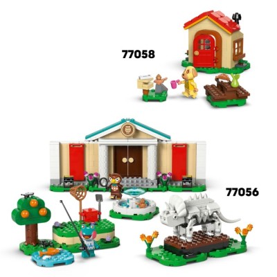 Конструктор LEGO® Animal Crossing Творчі будинки: сезони розваг (77057)